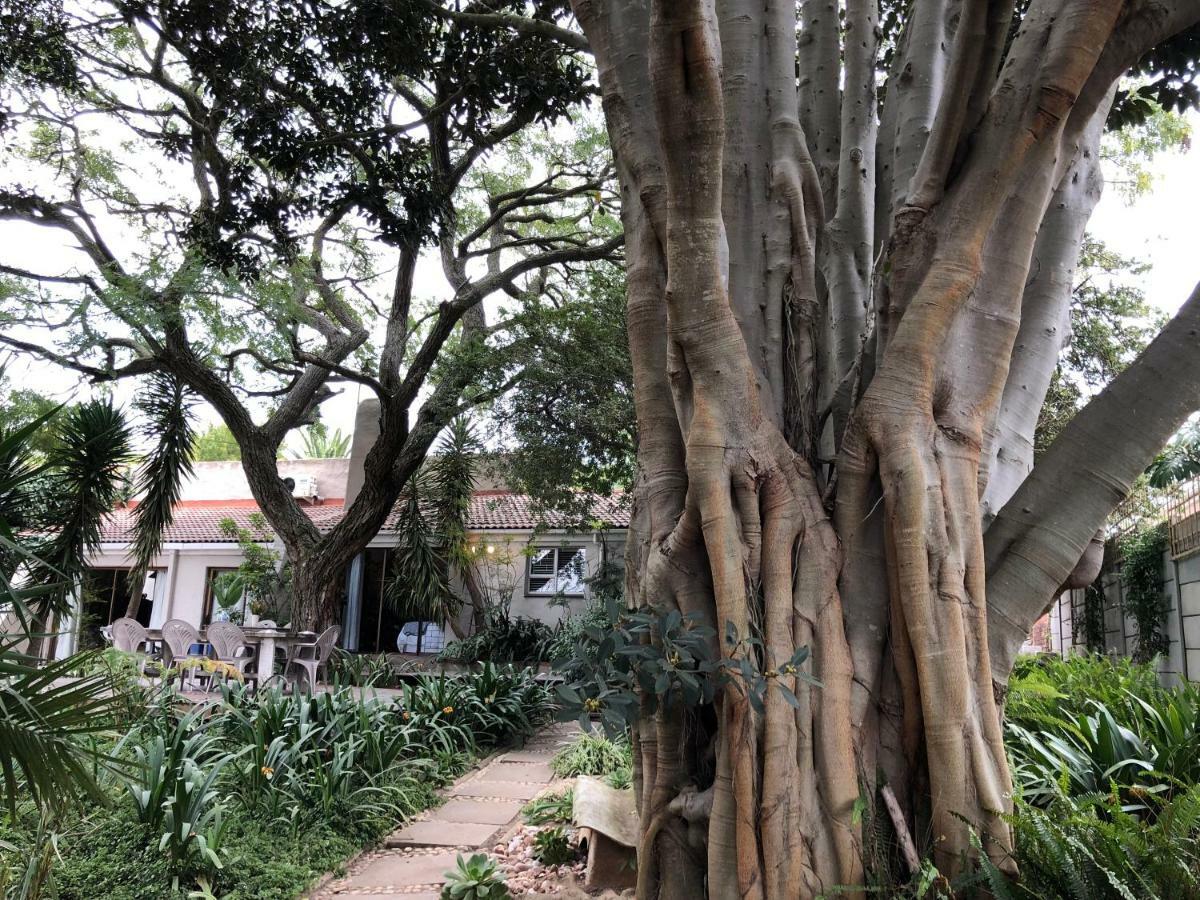 The Wild Fig Hotel Durbanville Kültér fotó